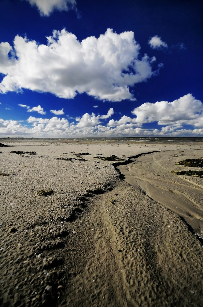 Comp 20120922 611 b3