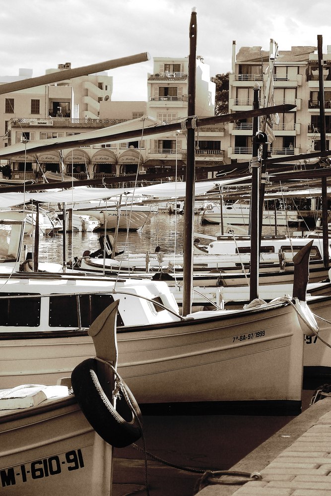 Comp DSC09059 ref bw