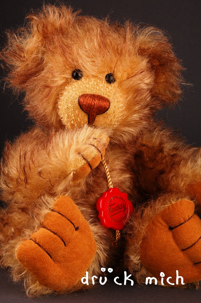 Comp DSC 5503 b drueckmich